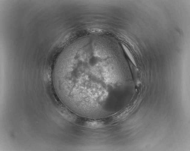 X0000115560561200911201825