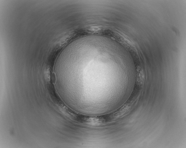 X0000115560562200911201825