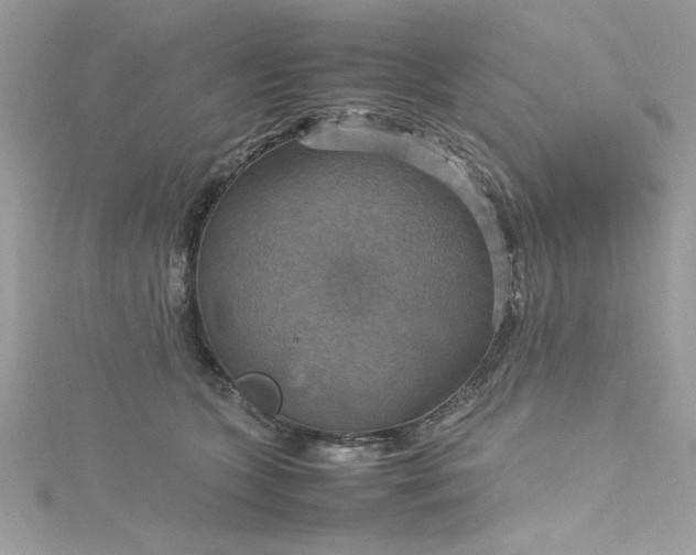 X0000115560563200911201825