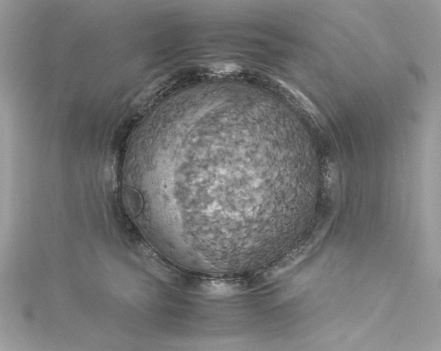 X0000115560565200911201825