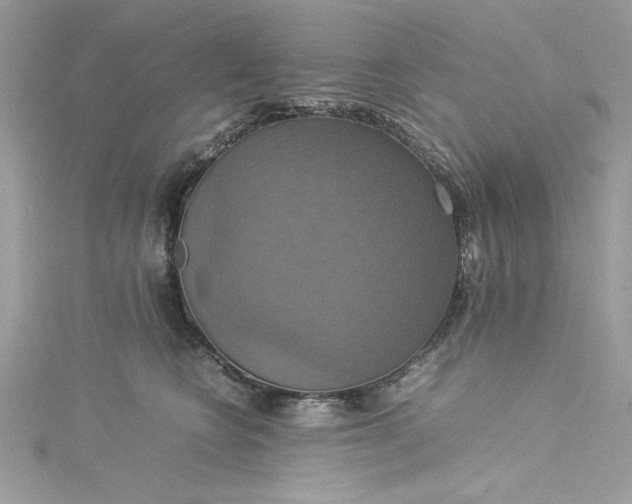 X0000115560566200911201825