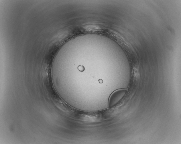 X0000115560567200911201825