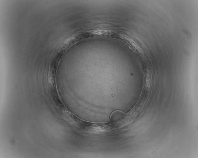 X0000115560569200911201825