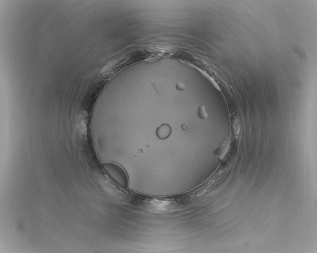 X0000115560570200911201825