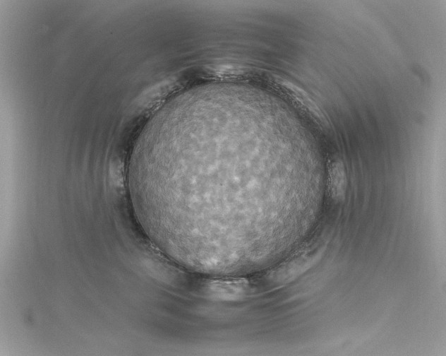 X0000115560571200911201825