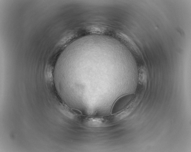 X0000115560573200911201825