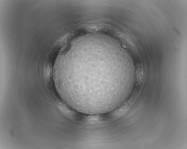 X0000115560574200911201825