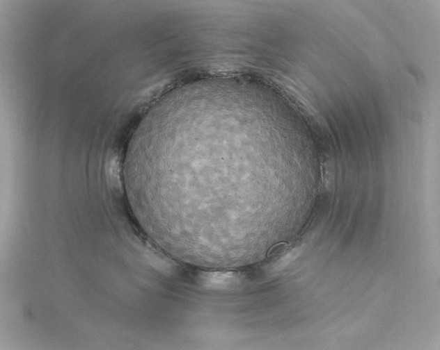 X0000115560575200911201825