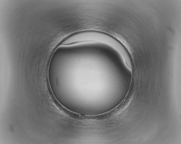 X0000115560577200911201824