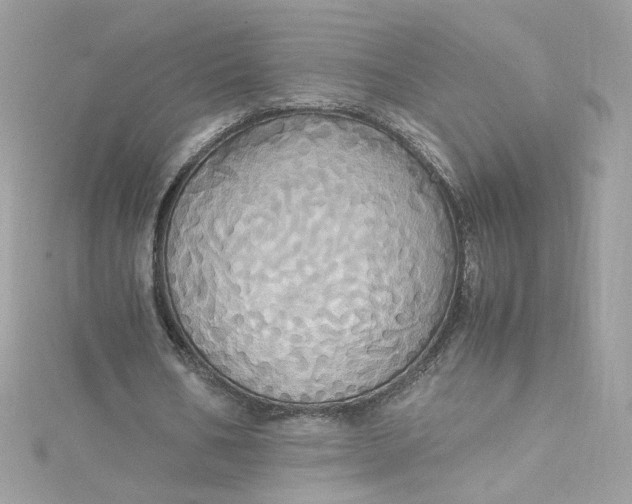 X0000115560578200911201824