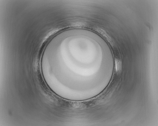 X0000115560579200911201824