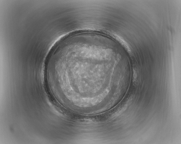 X0000115560580200911201824