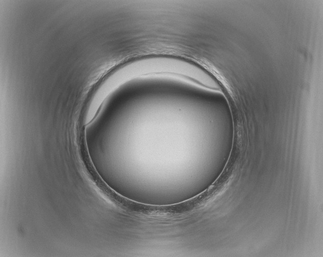 X0000115560581200911201824