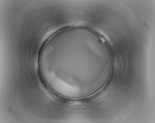 X0000115560582200911201824