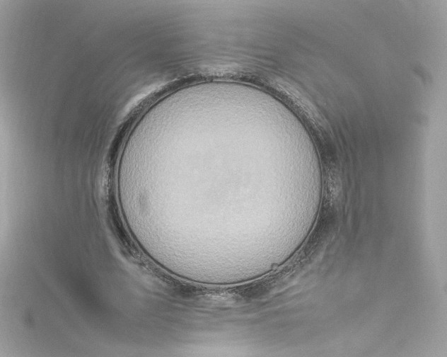 X0000115560583200911201824