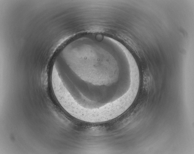 X0000115560584200911201824