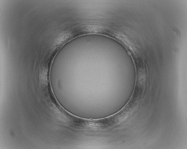 X0000115560585200911201824