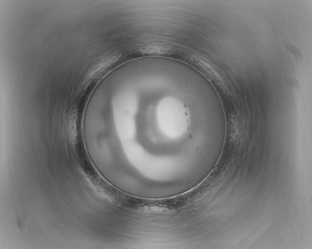 X0000115560586200911201824