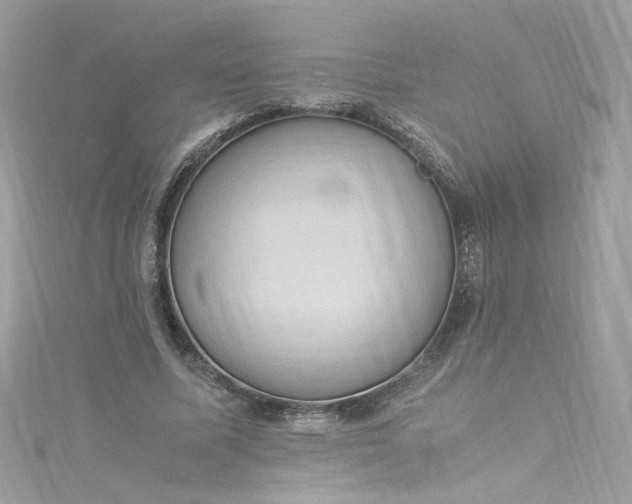 X0000115560587200911201824