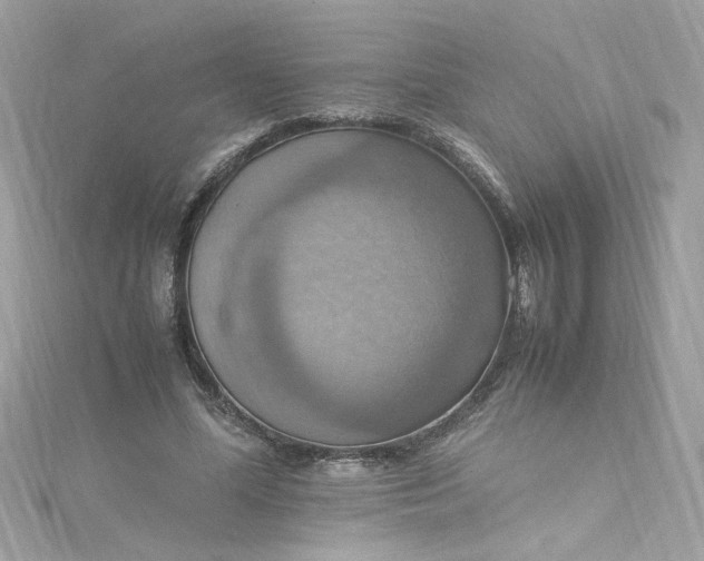 X0000115560588200911201824