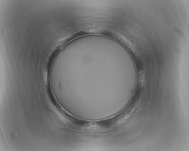 X0000115560589200911201824