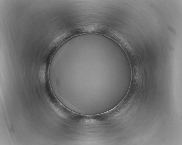 X0000115560590200911201824