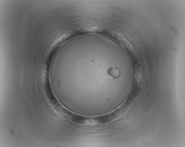 X0000115560591200911201824