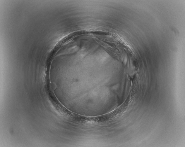 X0000115560592200911201824