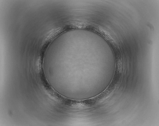 X0000115560594200911201824