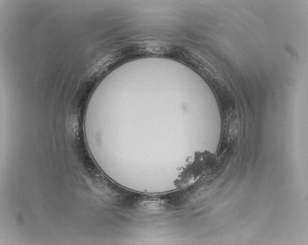 X0000115560595200911201824