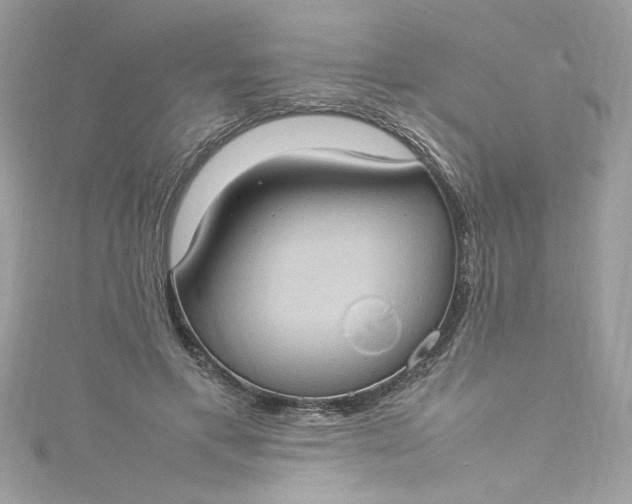 X0000115560597200911201824