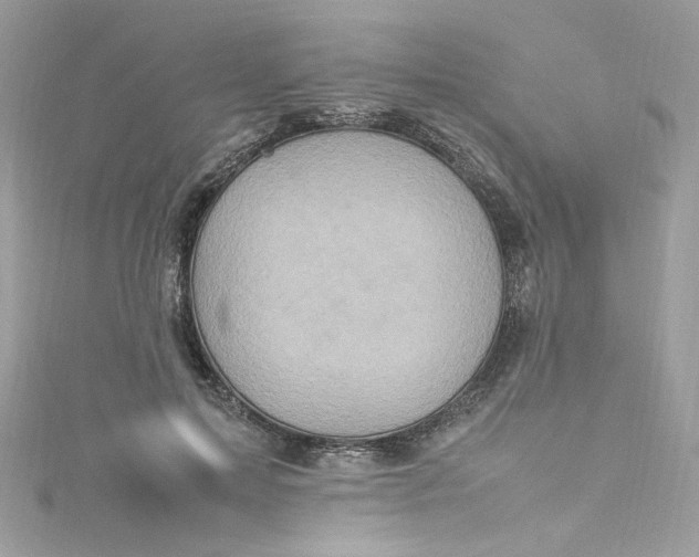 X0000115560599200911201824