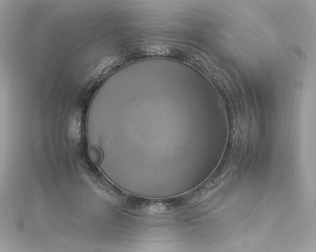 X0000115560600200911201824