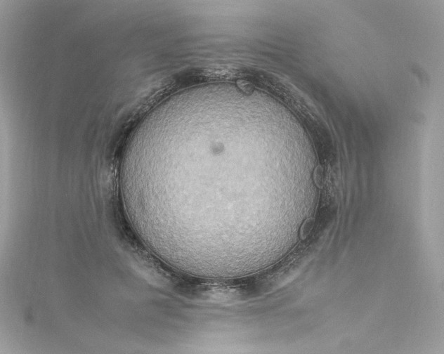 X0000115560601200911201824