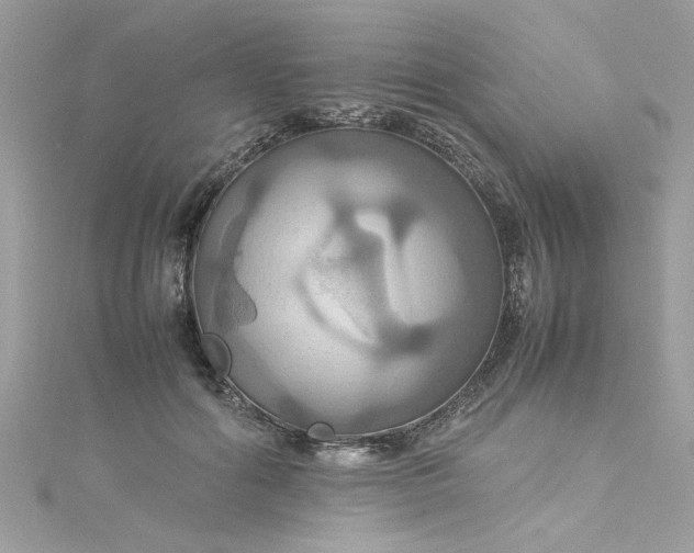 X0000115560602200911201824