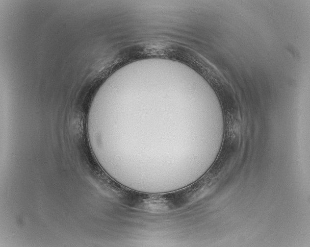 X0000115560603200911201824