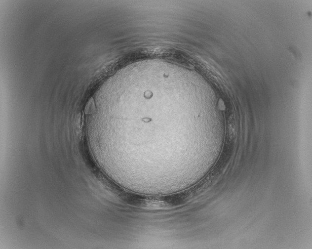 X0000115560605200911201824