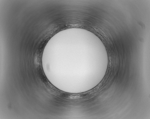 X0000115560606200911201824