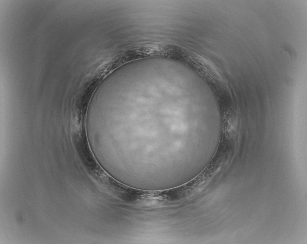 X0000115560607200911201824