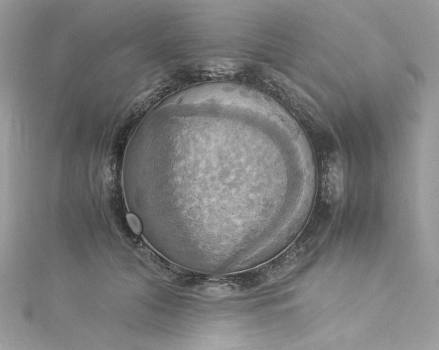 X0000115560608200911201824