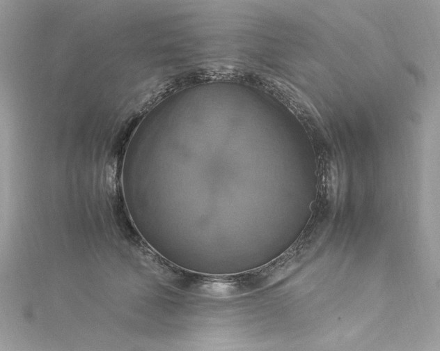 X0000115560610200911201824