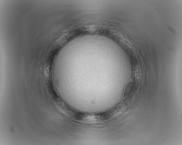 X0000115560611200911201824