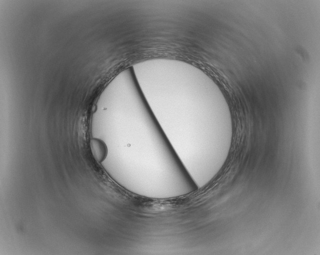 X0000115560612200911201824