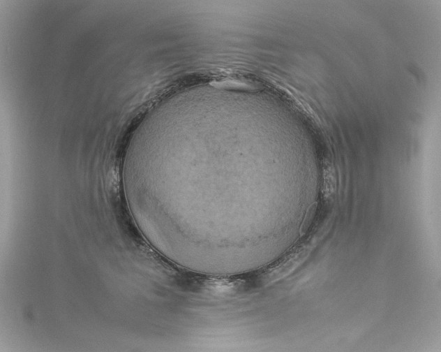 X0000115560613200911201824