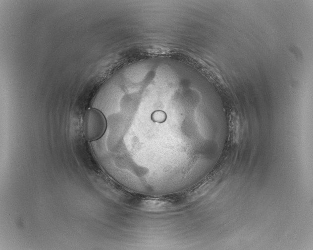 X0000115560614200911201824