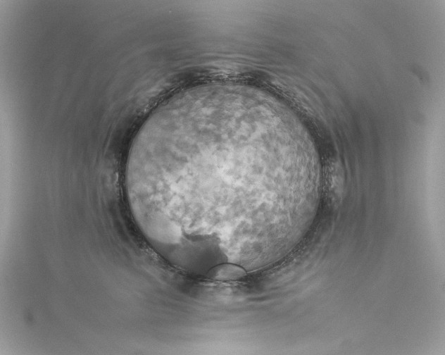 X0000115560615200911201824