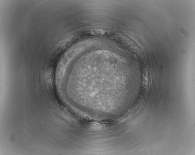 X0000115560616200911201824