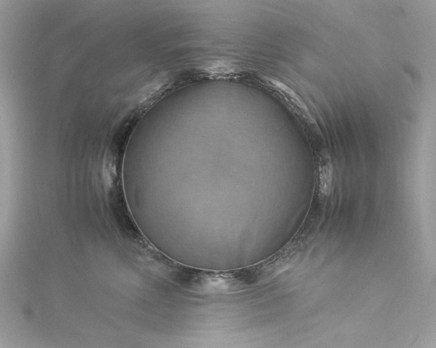 X0000115560618200911201824