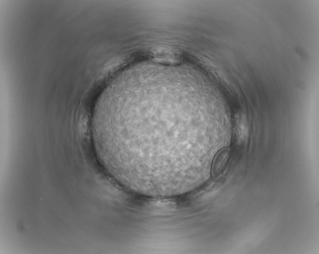 X0000115560619200911201824