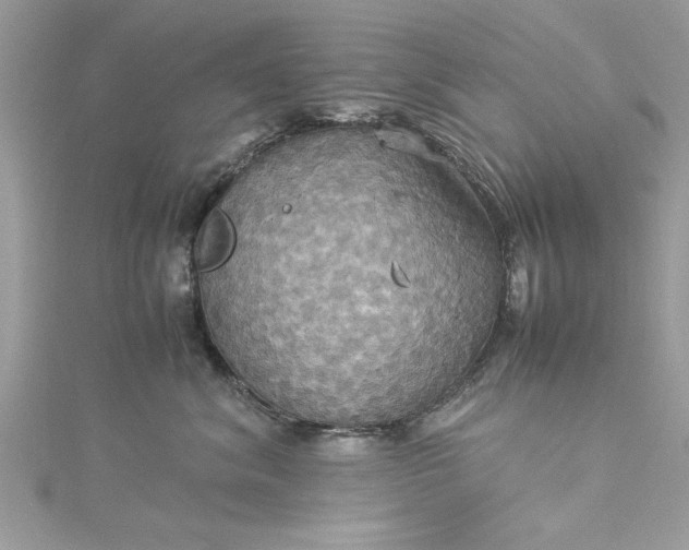 X0000115560620200911201824